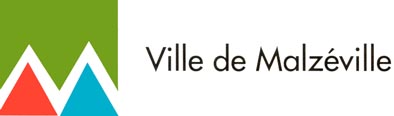VDM